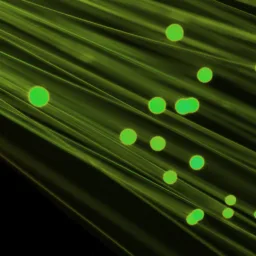 Green optical fibre cables against a black background